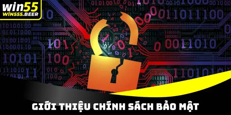 Chính sách bảo mật và sự cần thiết tại WIN55